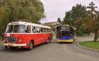 Autobus niebiesko-żółty, a także czerwony przez miasto moje mknie ;)