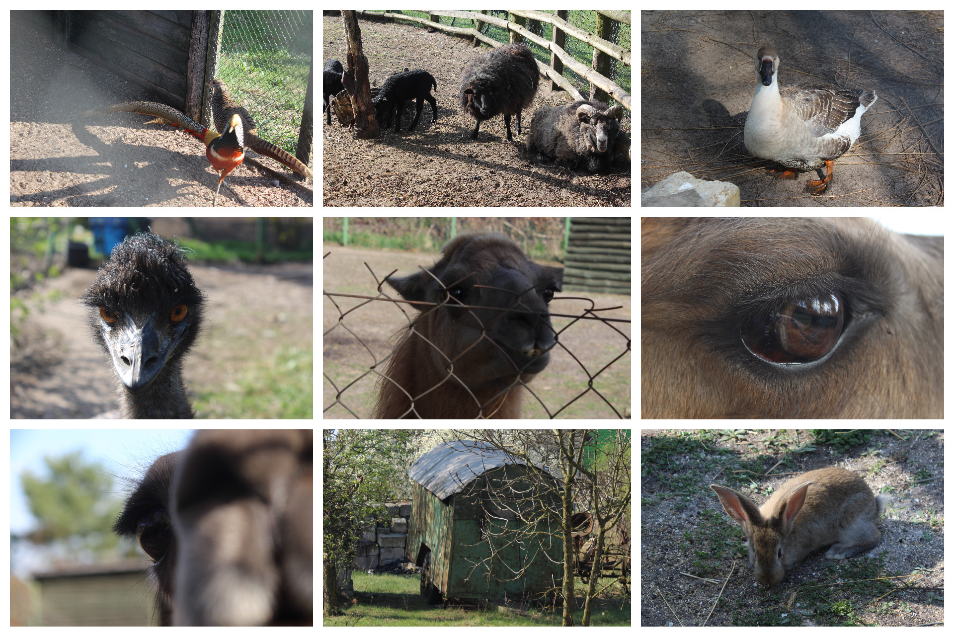 Sen w dobrej agroturystyce ma sens