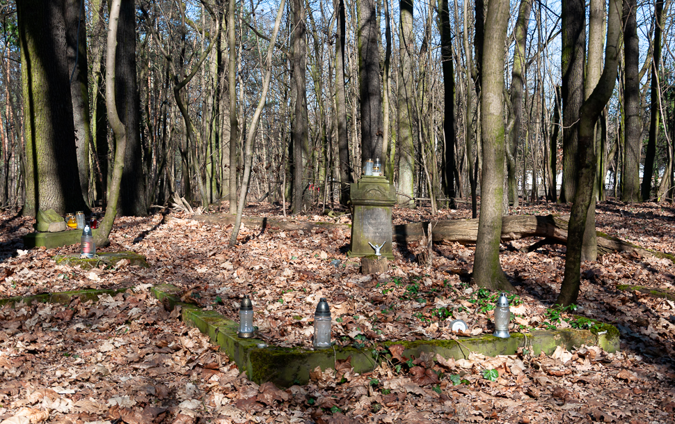 Dawny cmentarz na Żabieńcu (4)