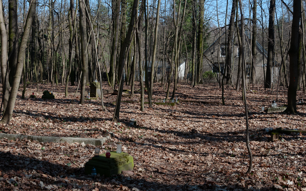 Dawny cmentarz na Żabieńcu (1)