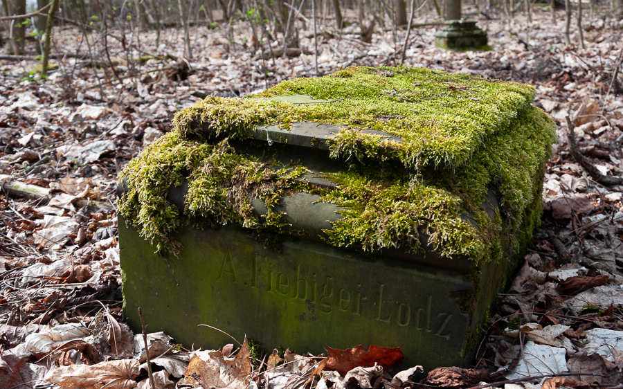 Dawny cmentarz w Wiączyniu Górnym (3)