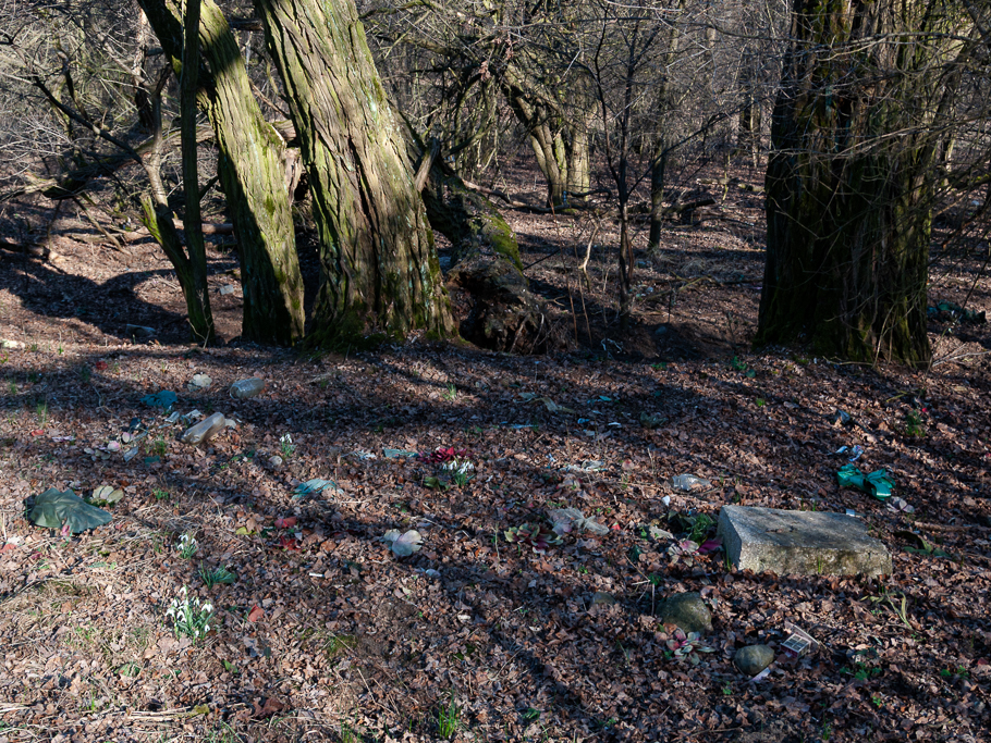 Dawny cmentarz w Górkach Starych (2)