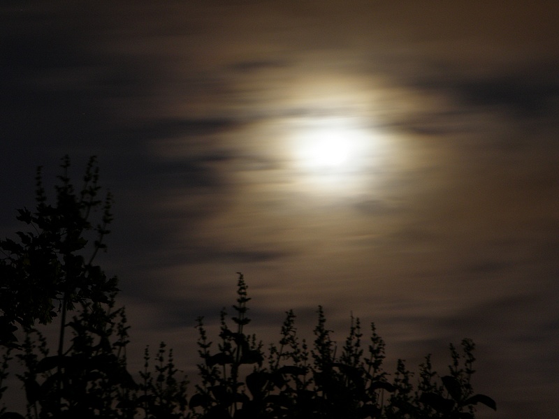 Księżyc za chmurami