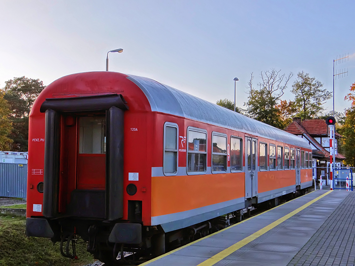 Niedobitek 120A